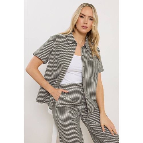 Long Tall Sally Tall Stripe Button Shirt In Olive