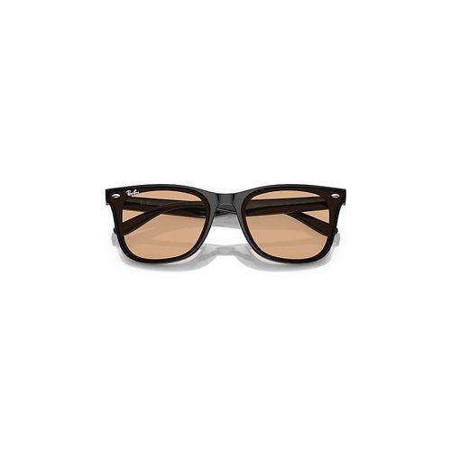 Ray-Ban Rb4391d Sunglasses Black Frame Brown Lense