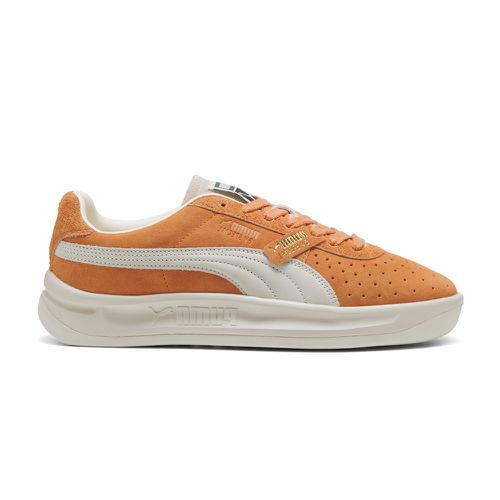 GV Special Suede Lace Up Sneakers