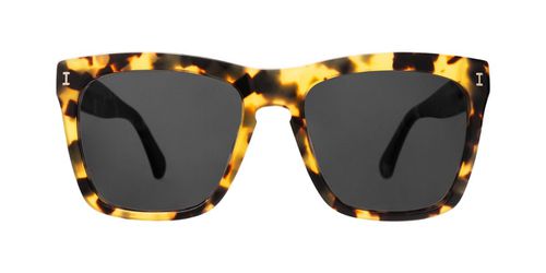 Illesteva Los Feliz LFZ9 Men's Sunglasses Tortoiseshell Size 55