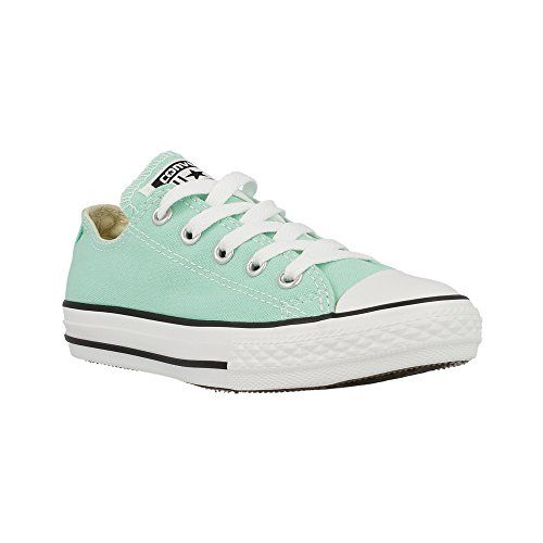 Converse Unisex Adult Chuck Taylor All Star High Top