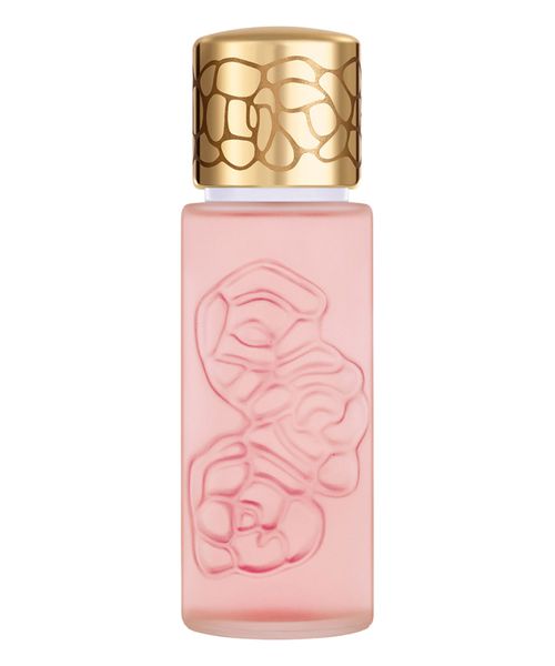 Quelques Fleurs Royale eau de parfum 50 ml