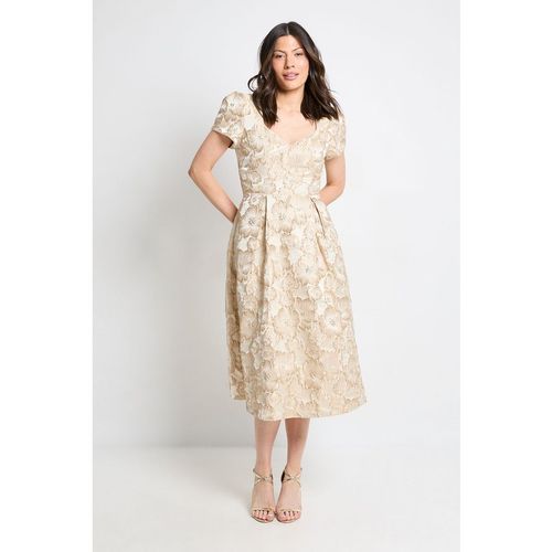 Wallis Womens Jacquard Seam Detail Midi Dress - Pink