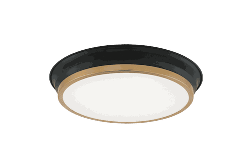 Black Aged Gold Brass Two Light Ceiling Mount from the Jaxx Collection