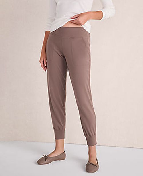 Ann Taylor Haven Well Within Balance Joggers