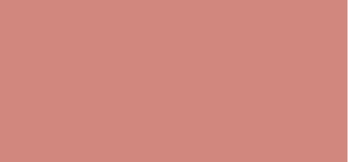 Natural multi-makeup Beauty Evolution All Over Color Multi-Use Organic Cream Colour 5 g - Shade: Bisque