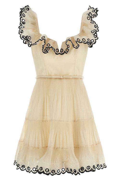 'Embroidered Frilled Mini' Dress