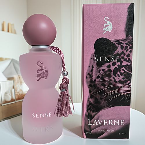 TEMU Perfume, Middle East , Arab Perfume, Exquisite , Lasting Fragrance