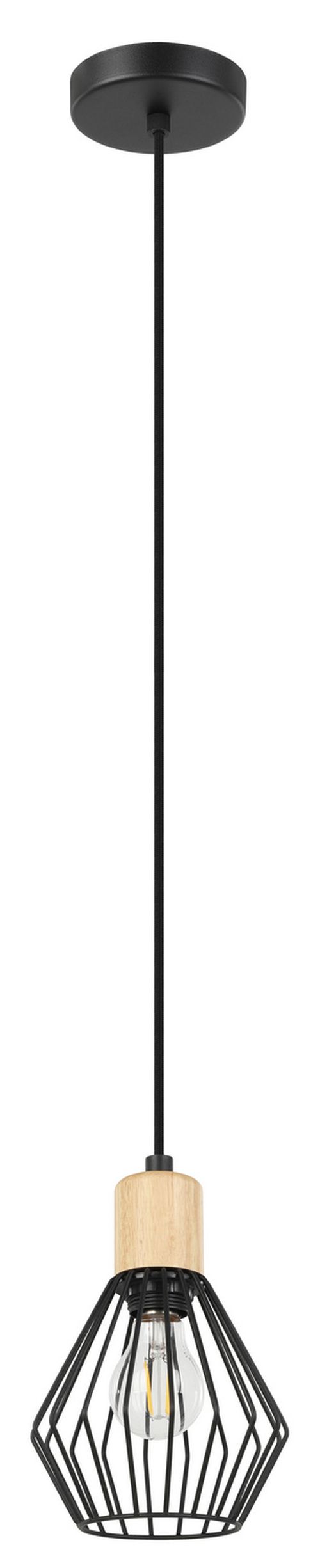 Structured Black One Light Pendant from the Palmorla Collection