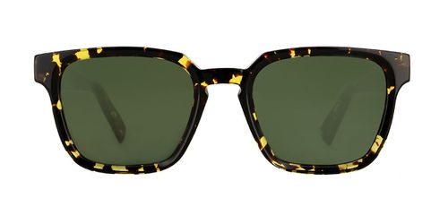 VANNI VS2501 A603 Men's Sunglasses Tortoiseshe
