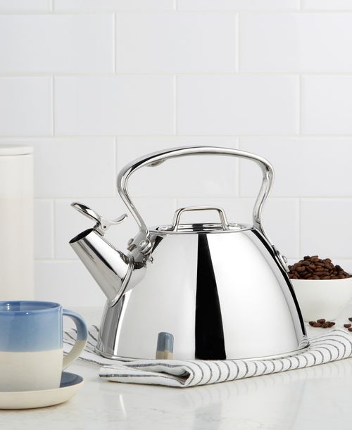 Stainless Steel Tea Kettle