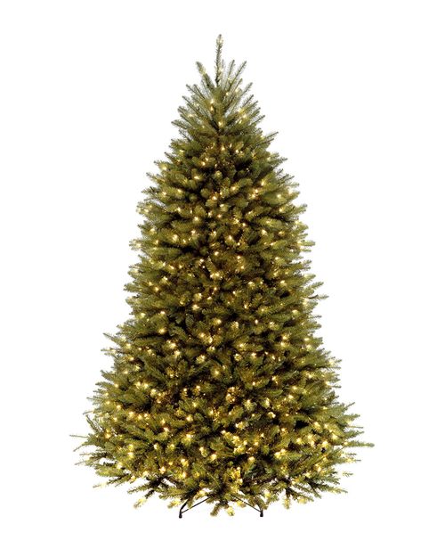 6ft Dunhill Fir Tree with 600 Clear Lights