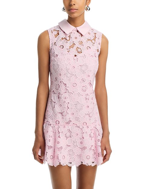 Lace Collared Mini Dress