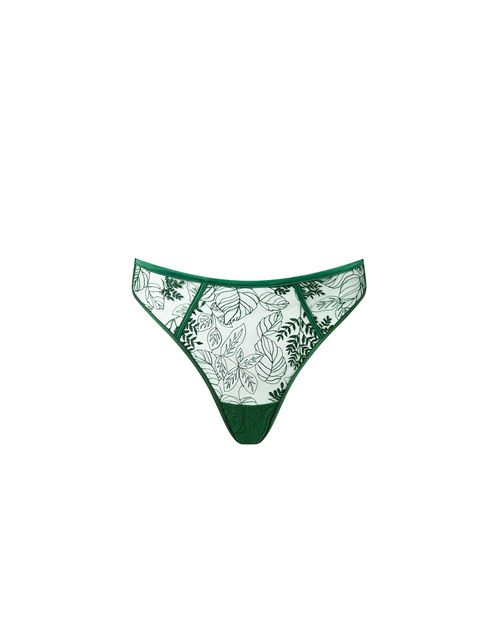 Bluebella Seraphim Sheer High-Waist Thong Green