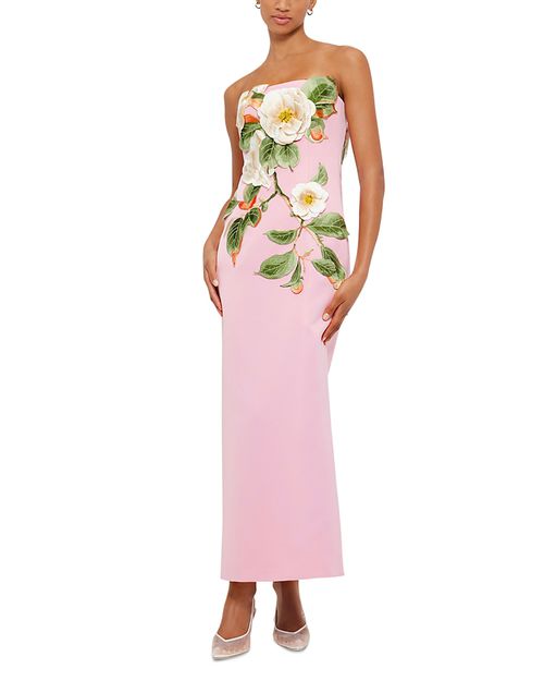 Rayna Applique Floral Bustier Maxi Dress