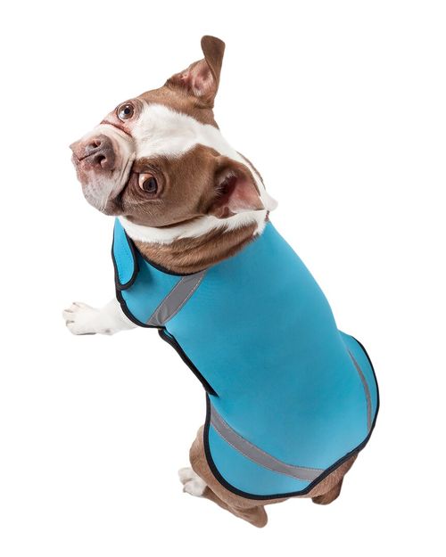 Extreme Neoprene Multi Purpose Protective Coat