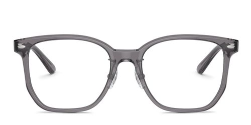 RX5425D Year Of The Snake Edition Gray/Clear
