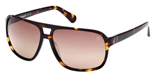 Polarized Brown Navigator Mens Sunglasses TB00031 52H 65
