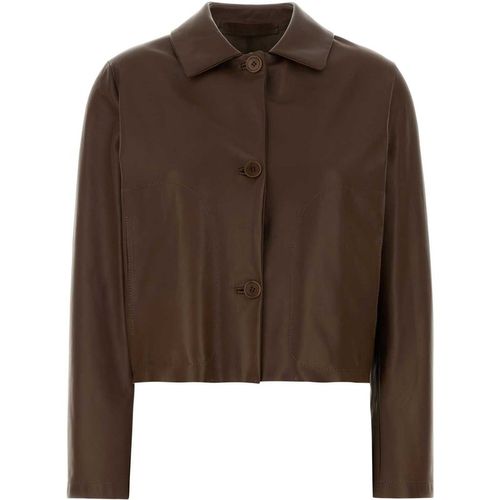 Santoro Brown Leather Jacket