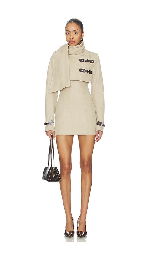 Lovers and Friends Florence Mini Dress in Tan. L. Also in M, S, XL