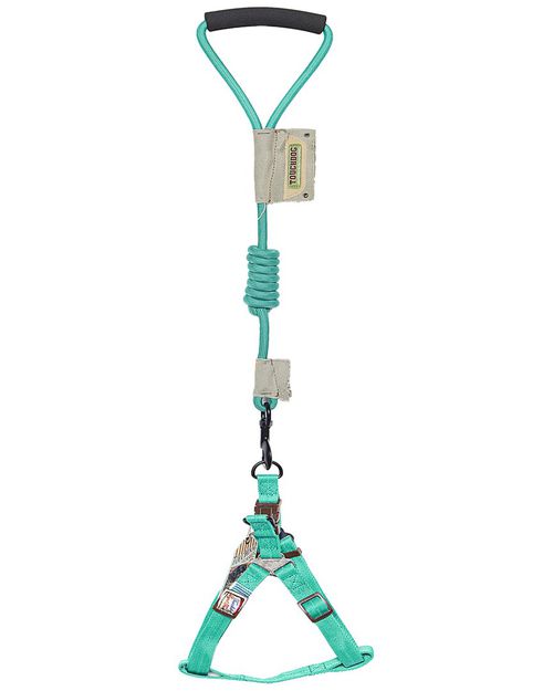 Faded-Barker Adjustable Dog Harness And Leash