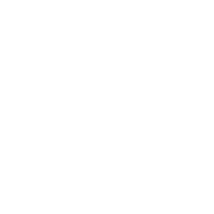 Roberto Cavalli