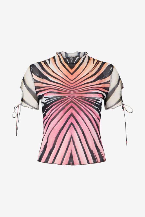 Ray Of Paradise Print Top