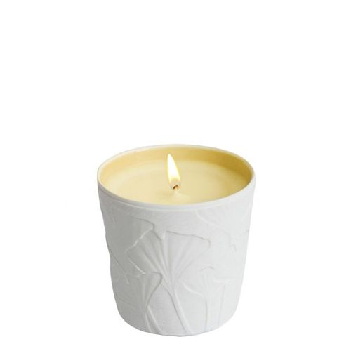 Le Jardin Retrouve Tubereuse Trianon 190 gr Candle