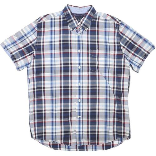 TOMMY HILFIGER Mens Blue & White Check Shirt L Button-Down Cotton Casual Summer