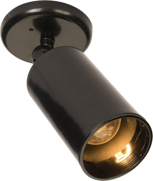 Spots Flush Mount in Black Finish