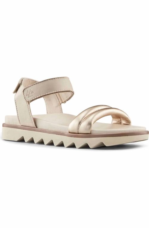 Women's Nolo Sandals In Platino-Oyster