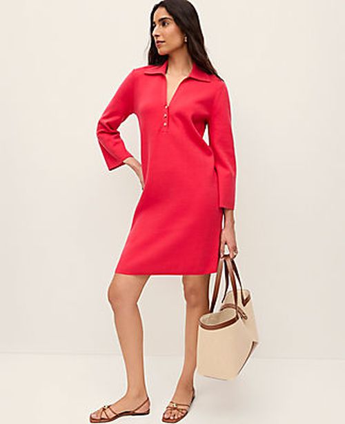 Ann Taylor Petite Collared Shift Dress