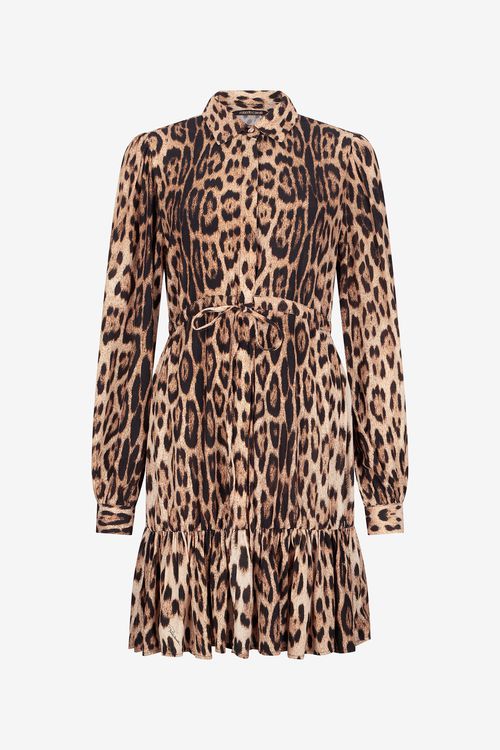 Leopard Print Mini Dress