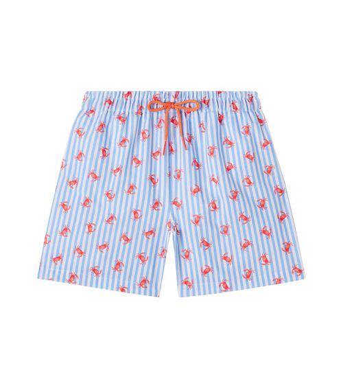Bravo printed striped swim trunks
