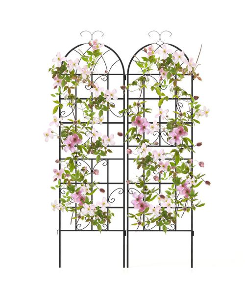 2 Pack 71 x 20 Inch Metal Garden Trellis for Climbing Plants - Black