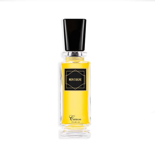 Ladies Montaigne EDP 1.0 oz Fragrances 3387958026137