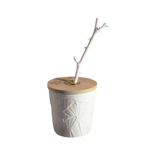 Le Jardin Retrouve Cuir de Russie 125 ml Diffuser