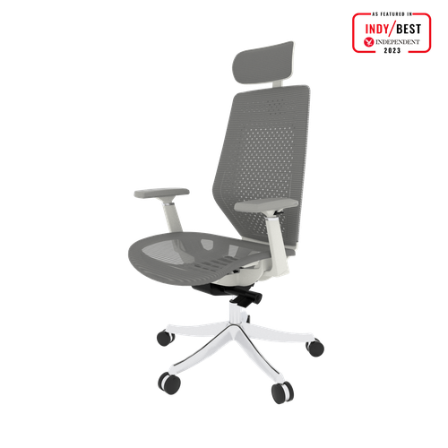 FlexiSpot BS11PRO Mesh Ergonomic Adjustable Office Chair ,Comfortable Computer Chair with Arms and Back Support for Study Office Gaming Works Grey