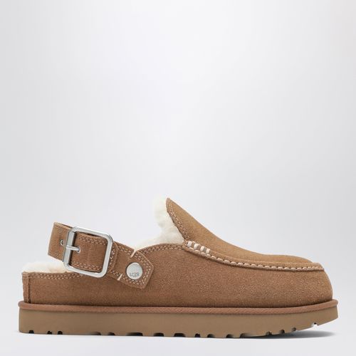 Goldenstar Evelina chestnut suede sabot
