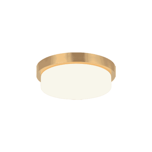Matteo Durham 1-Light Ceiling Light In Aged Gold Bra