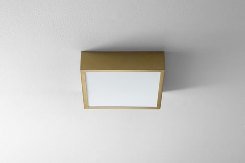 Oxygen Pyxis Ceiling Light in Aged Bras