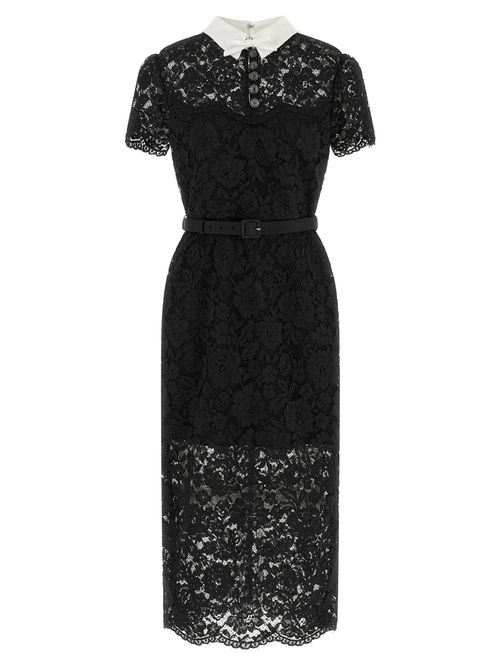 Floral Lace with Contrast Collar Dress — Black