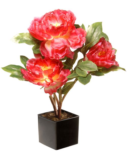 National Tree Potted Pink Carnations