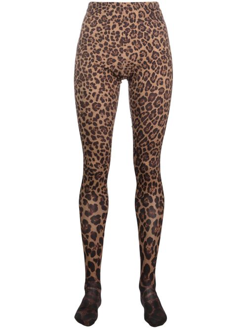 Leopard-print tights - Brown