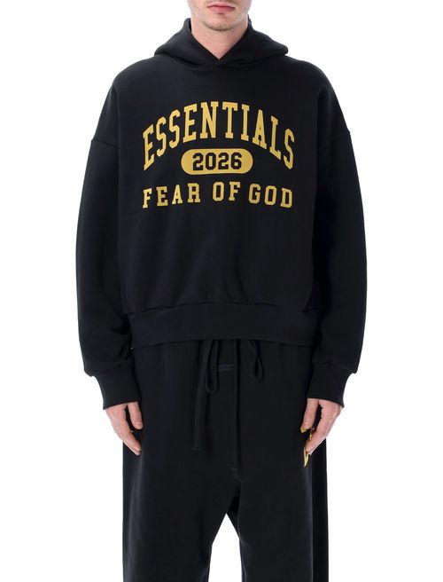Classic Comfort Hoodie - Size L