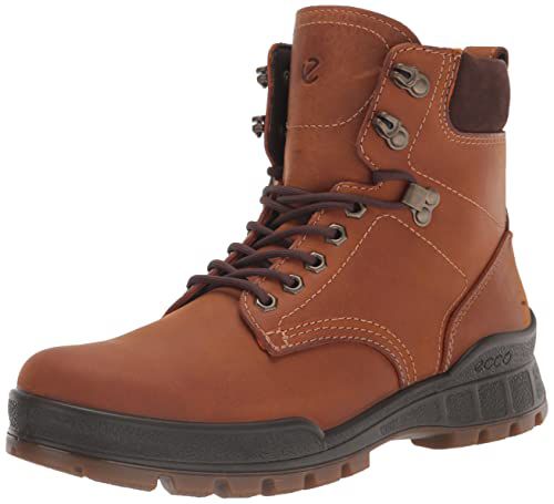 ECCO Men's Track 25 Waterproof Plain Toe Tie Hiking Boot
