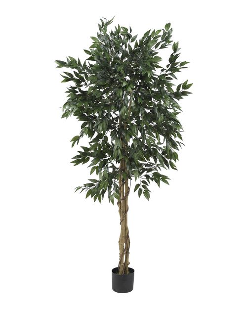 5ft Smilax Tree