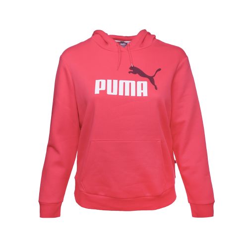 Essentials Logo Pullover Hoodie (Plus Size)