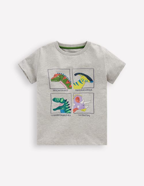Boys Short Sleeve Graphic T-shirt in Grey | Size 2-3 Years