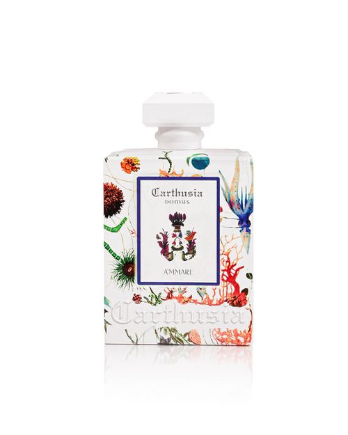Carthusia Domus A Mmare Aromatic Room Diffuser 680 ml — Diffuser